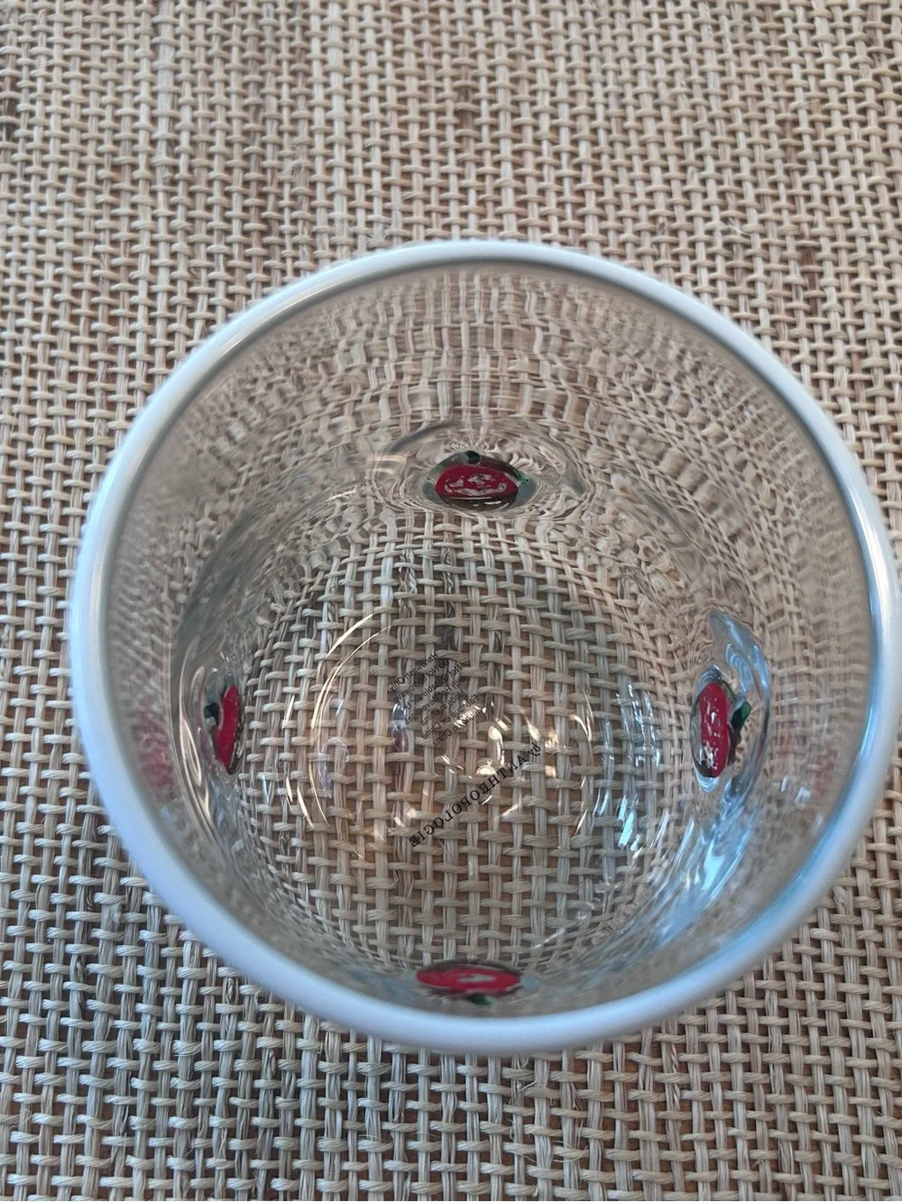 NWT Anthropologie Icon Juice Glass with Chocolate Covered Strawberries. 17 oz